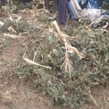Umugabo wari umaze gushikuza telefone yapfiriye mu mukoki i Gatsata
