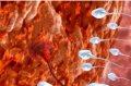 EVERHEALTHY:Umuti uzwiho gusubiza icyubahiro Abago mu ngo zabo