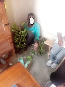 Rubavu: Yafatanywe ibitoki yibye bamusatse bamusangana udupfunyika 3 tw'urumogi