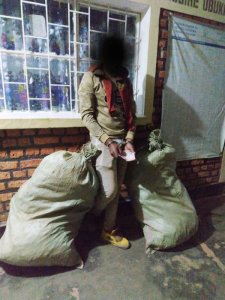 Polisi Yafatiye i Bungwe Umusore Ufite Ibiro 100 by'Urumogi