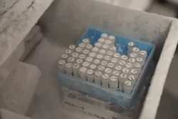 Ubwongereza bwatangiye amagerageza y'urukingo rwa Ebola rwakozwe mu byumweru umunani