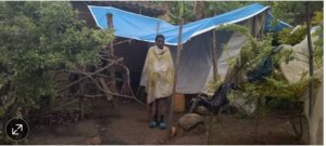 Ngororero: Umukecuru ari mu gahinda gakomeye nyuma yo guterezwa cyamunana ibye nta nguzanyo yasabye 