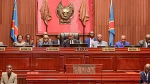 RDC: Sena yemeje umushinga wa kamarampaka