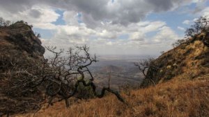 Uganda: Imfungwa 200 zatorotse gereza ziba n'imbunda za Leta