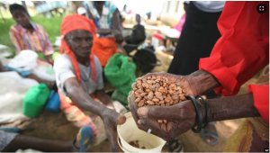 PAM Ikeneye Miliyoni $400 Zo Kugoboka Abazahajwe n'Amapfa mu Majyepfo y'Afurika