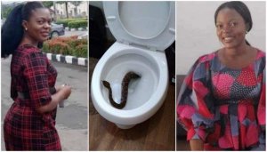 Umugore wakoreraga igisirikare cya Nigeria yarumwe n'inzoka mu bwiherero bimuviramo urupfu