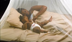 Hari gukorwa iki mu guhangana na Malaria yarwawe n'abarenga miliyoni mu 2025?