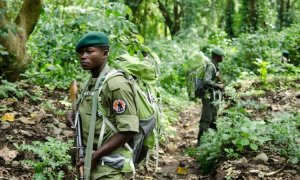 Umusirikare ukomeye muri FDLR yishwe mu gitero cy'Abarinzi ba Pariki ya Virunga