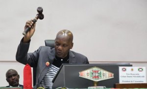 Burundi: Abadepite mu mazi abira 