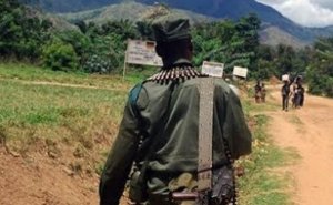 RDC: FDLR ikomeje kuvugwaho kubangamira abaturage cyane aba Ishasha