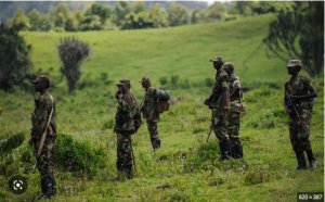 Bwambere M23 yashinjwe kugaba igitero ku ngabo za EAC
