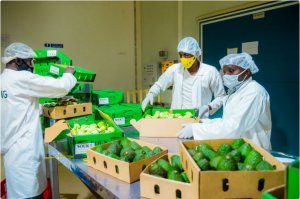 Umusaruro w'ibikorerwa mu Rwanda byoherezwa mu mahanga wazamutseho 11,4%