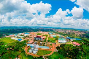 Ibiciro by'ibikorerwa mu nganda byiyongereyeho 4,8%