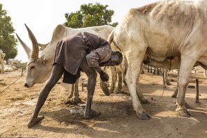 Mundari,ubwoko bw'abantu bakaraba amaganga y'inka zabo [AMAFOTO]
