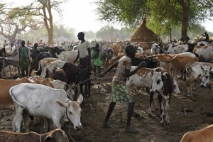 Abashumba bo muri Sudani y'Epfo barwanye hapfa abantu 39