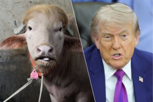 Ikimasa ‘gisa na Trump' gikomeje guca ibintu