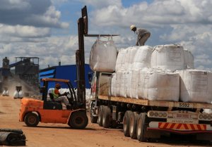 Zimbabwe yahagaritse kohereza mu mahanga amabuye adatunganyije