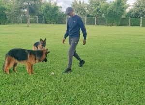 IFOTO Y'UMUNSI: Perezida Kagame yagaragaye ari gukinisha imbwa ze 
