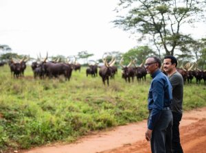 Perezida Kagame yagabiye Emir wa Qatar inka z'Inyambo