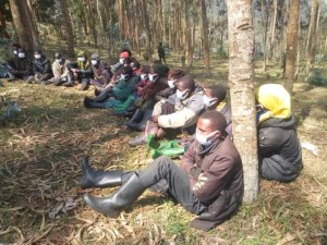 RED-Tabara yemeje ko abarwanyi bayo bafatiwe mu Rwanda bari bayobye