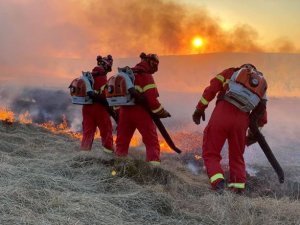 Yatwitse ishyamba rya hegitare zirenga 280 ubwo yacanaga ibishashi ngo atungure umukunzi we