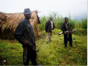 RDC yashyize umucyo ku mubare nyawo w'imitwe yitwaje intwaro iri ku butaka bwayo