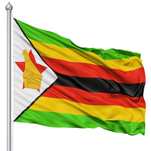 Zimbabwe: Inteko ishinga amategeko yemeje umushinga wo guhindura itegeko nshinga