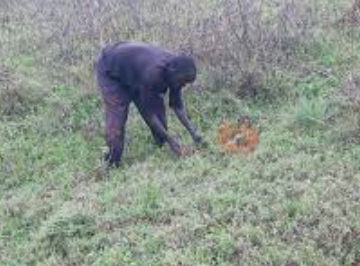 Nyanza:Umugabo yashimuswe n'Abarundi ubwo yahiraga ubwatsi bw'amatungo