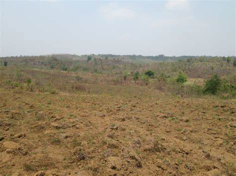 U Rwanda rwahawe ubutaka bungana hegitari 12.000 na Congo 