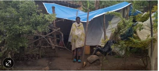 Ngororero: Umukecuru ari mu gahinda gakomeye nyuma yo guterezwa cyamunana ibye nta nguzanyo yasabye 