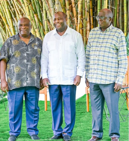 Burundi: Perezida Ndayishimiye yiyambaje abamubanjirije ku butegetsi bungurana ibitekerezo