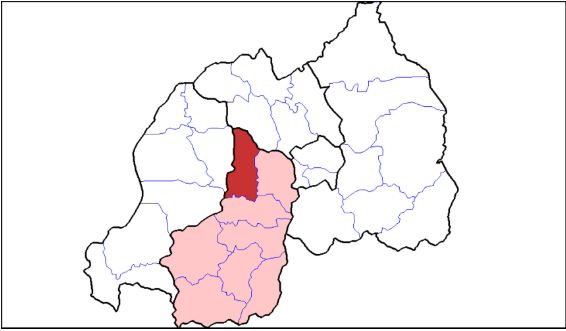 Muhanga: Umuturage yafashwe yaravanze urumogi n'ibishyimbo mu murima