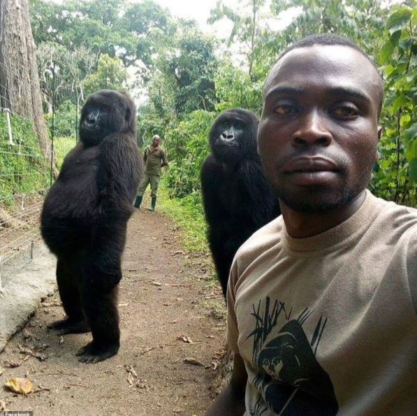Ya ngagi yakunzwe cyane ku isi kubera ukuntu yari izi kwifotoza yapfuye [AMAFOTO]