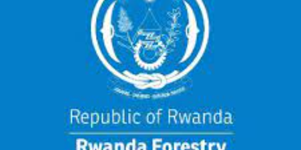 Forest Regulation Officer Under Statute at RWANDA FORESTRY AUTHORITY: Deadline: Aug 28, 2023