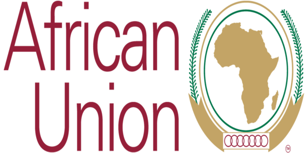 Director Health Systems Strength & Public Health Institutes (AfCDC) at African Union