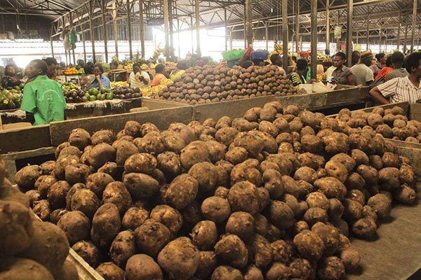 Impamvu Leta y'u Rwanda yemeje ko umusaruro w'igihugu wazamutseho 10.9%