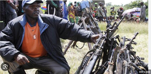 Tshisekedi ahugiye mu guha imbaraga FDLR ngo imukize M23 n'u Rwanda-Biravugwa