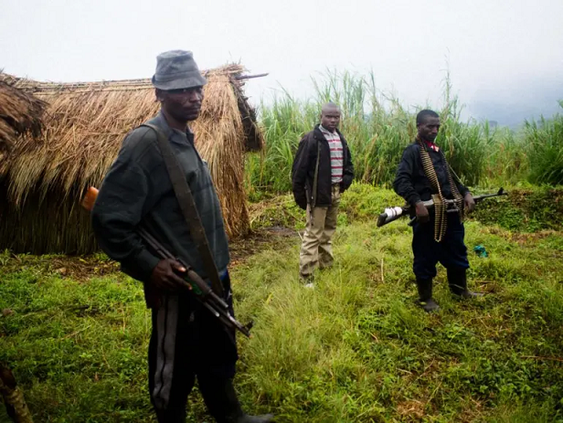 FDLR yasabye ibiganiro na Leta y'u Rwanda kugira ngo ishyire intwaro hasi