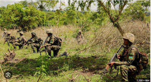 America yongeye gushimangira imvugo yayo isaba RDF kuva muri Congo