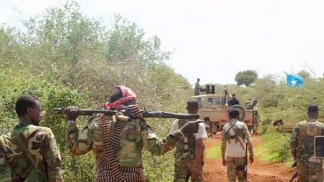 Somlia:Operasiyo y'ingabo z'Igihugu na America yisasiye ibyihebe 100
