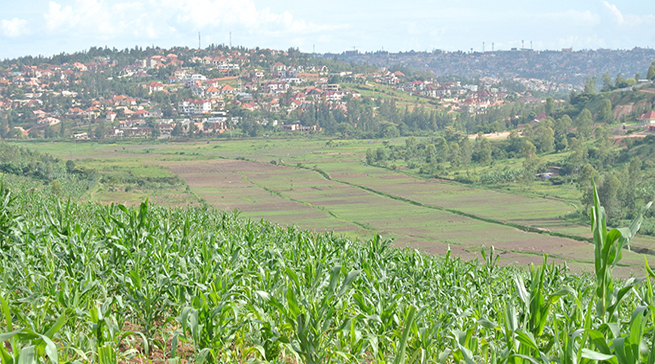 Umusoro ku butaka wagabanutseho hafi gatatu mu mijyi yo mu Rwanda