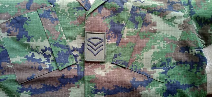 RDF yakoze impinduka ku myambaro y'abasirikare bato n'aba Ofisiye