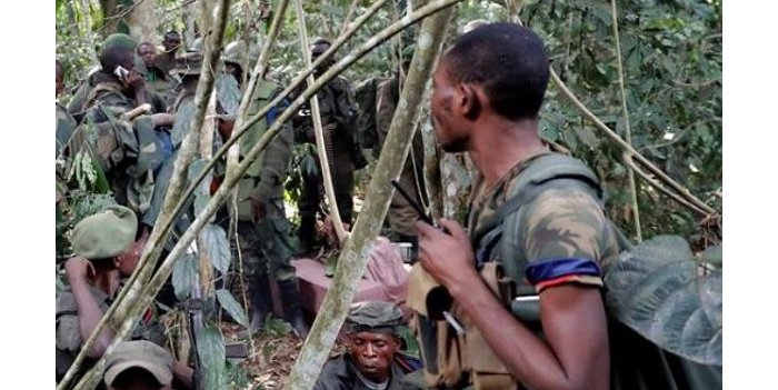 Ingabo z'u Burundi zahitanye inyeshyamba nyinshi z'umutwe wa FLN