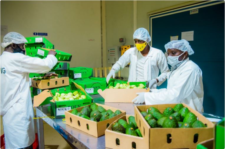 Umusaruro w'ibikorerwa mu Rwanda byoherezwa mu mahanga wazamutseho 11,4%