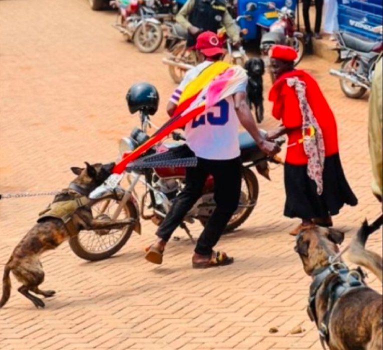 Polisi ya Uganda yashinjwe gushumuriza imbwa abashyigikiye Bobi Wine