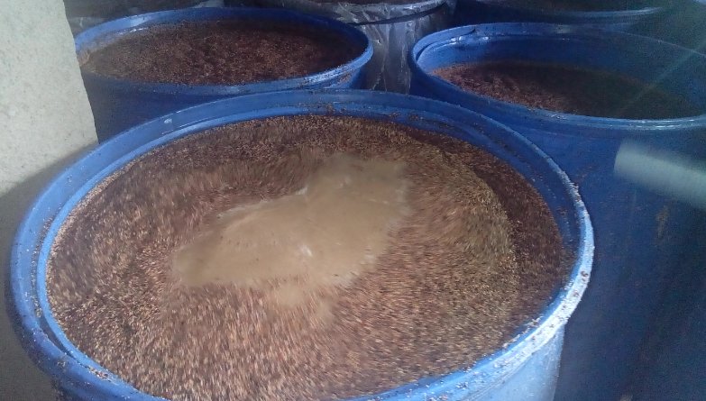 Kayonza: Abayobozi b'ishuri batawe muri yombi bakekwaho guha abanyeshuri ikigage cyateye urupfu