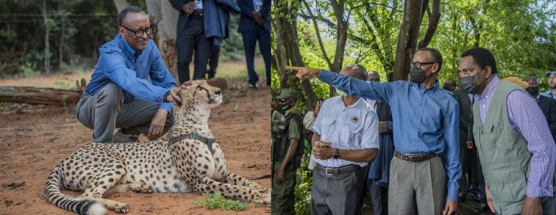 AMAFOTO Y'UMUNSI : Perezida Kagame yatemberejwe mu cyanya kibamo inyamaswa z'inkazi muri Zambia 