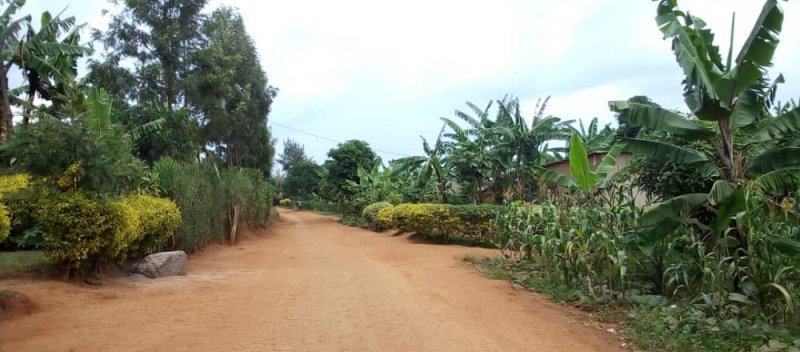 Rwamagana: Yatemye umuturanyi we nyuma yo gukeka ko amusambanyiriza umugore