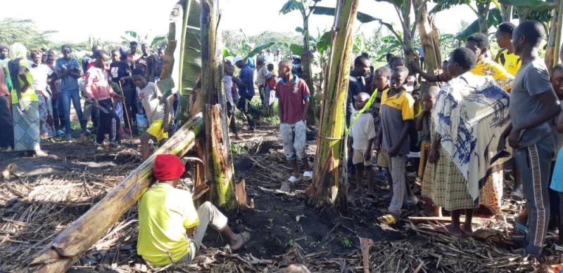 Nyagatare: Yagiye kwiba urutoki ananirwa kuva mu murima bikekwa ko yafashwe n'uruhereko