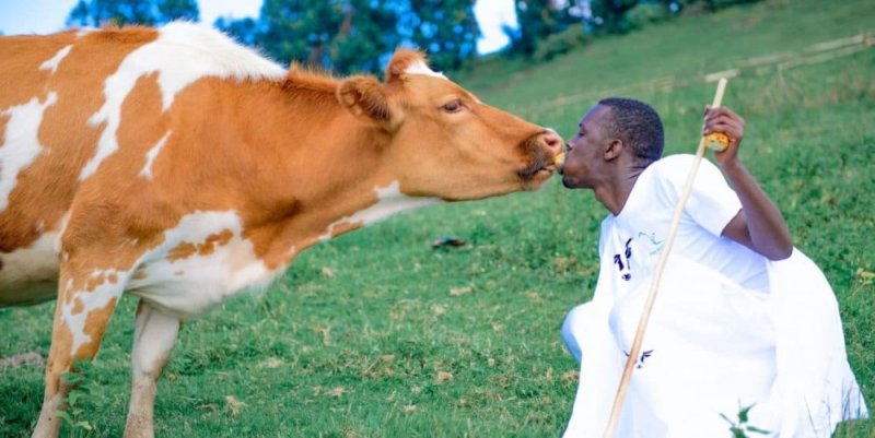 Ifoto yagaragaje umusore asangira n'inka ikigori ikomeje kuzamura amarangamutima ya benshi